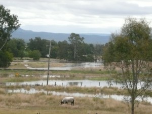 Forest Hill side flooding 21/05/09