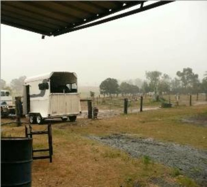 Pearl & Rebel off to Bundaberg Pearl & Rebel off to Bundaberg