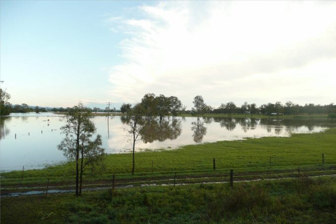 Pearl’s pregnant and home!!!