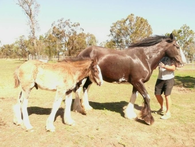 Mud, muck and potholes