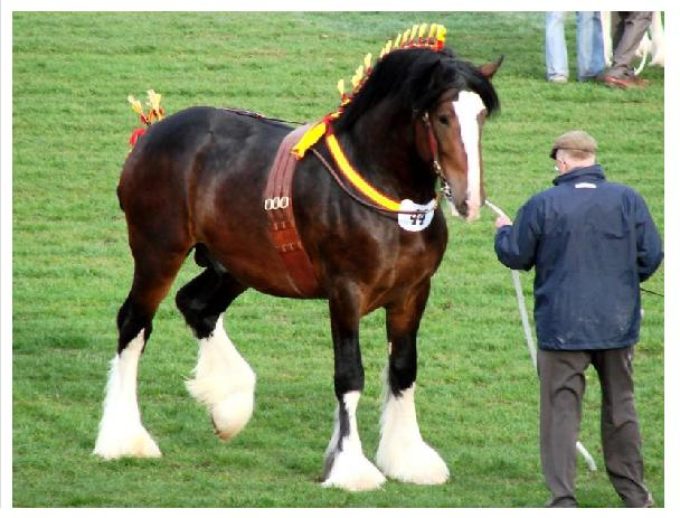 Looking for employment…