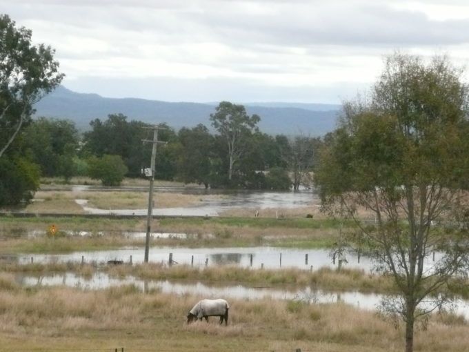 no show and 1st week impressions