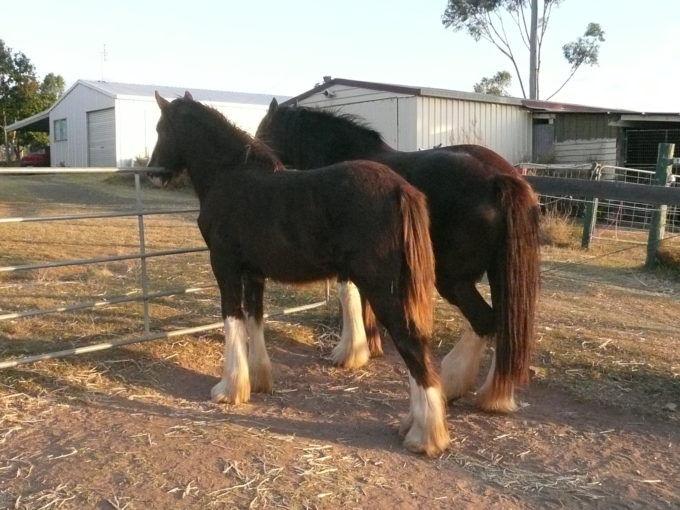 August nearly done too!