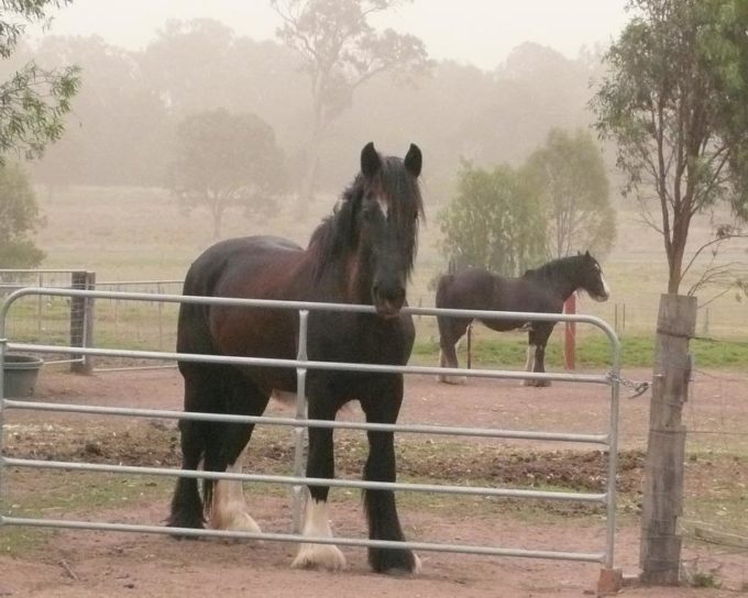 September nearly gone already!