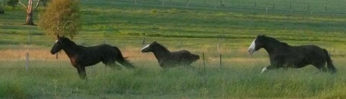 2009 what a year! 2009 what a year!