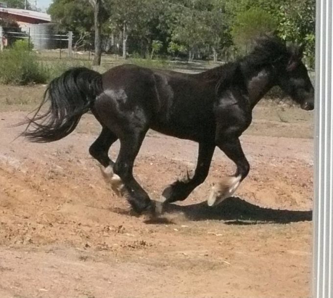 Hot and dusty again Hot and dusty again