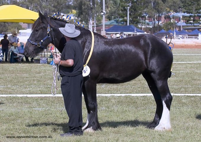 March, April & May madness ends March, April & May madness ends