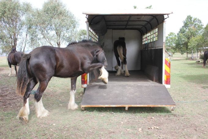 Spring 2010 Spring 2010