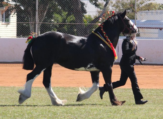 And the new year commeth