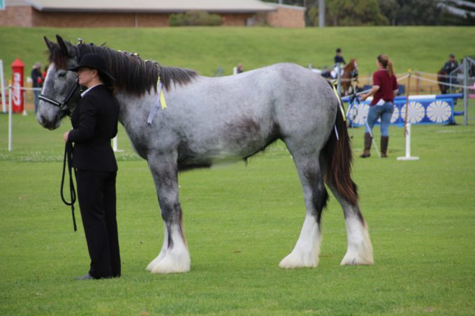 social weekend update