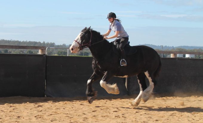 Hay, trailers and dentists!