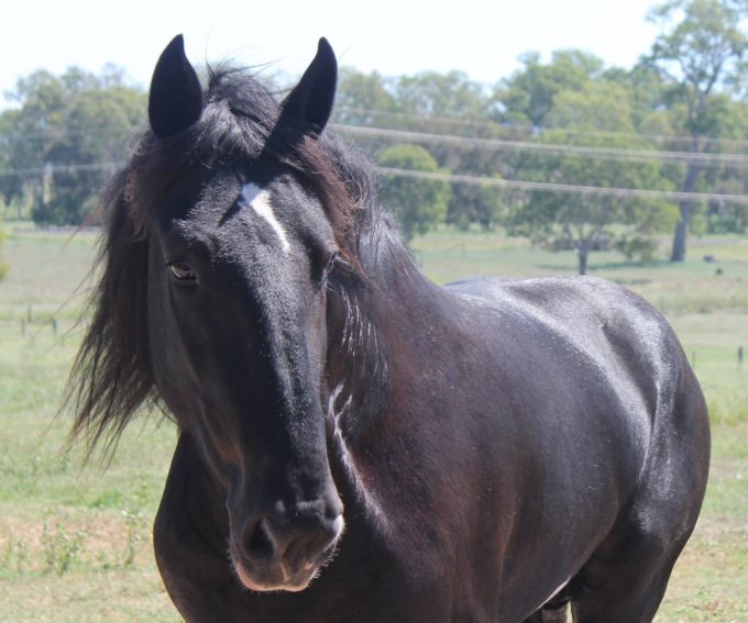 August musings August musings