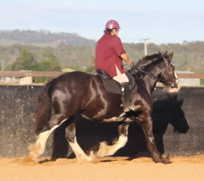 17 day scan – all is well!