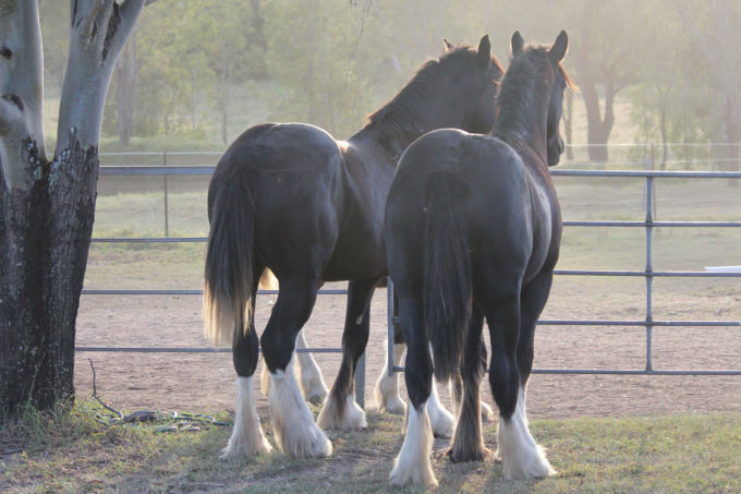 Nothing new – all is well