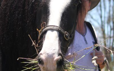 gallery-charlotte-pretty-girl-2016