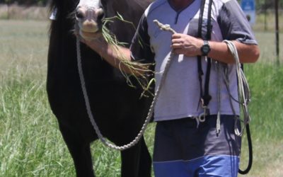 gallery-dale-leading-charlotte-off-the-truck-2016