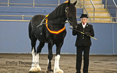 gallery-lucius-national-2015